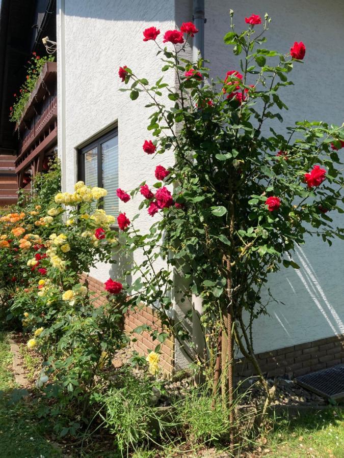 Apartment Rosengarten